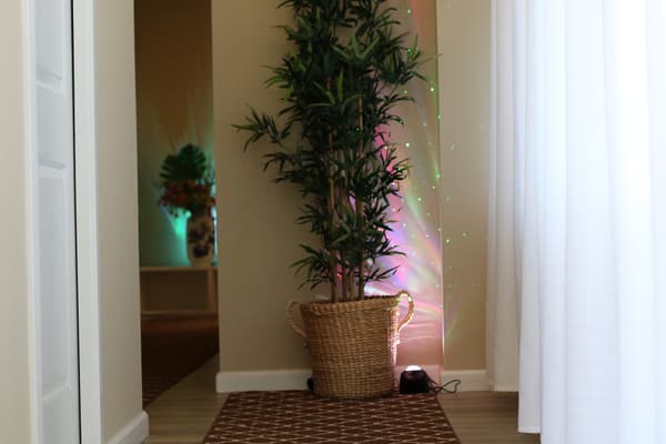 A hallway at Wonder Spa with a bamboo plant in a woven basket, white curtains and green and violet star light on the wall.